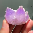 specimen video