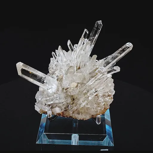 specimen video