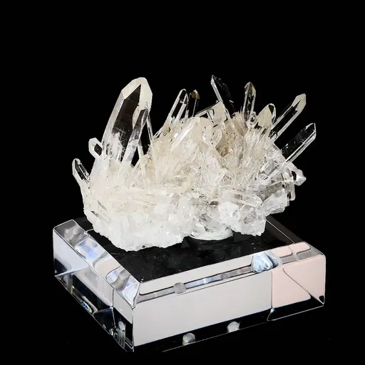 specimen video