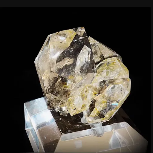 specimen video