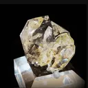 specimen video