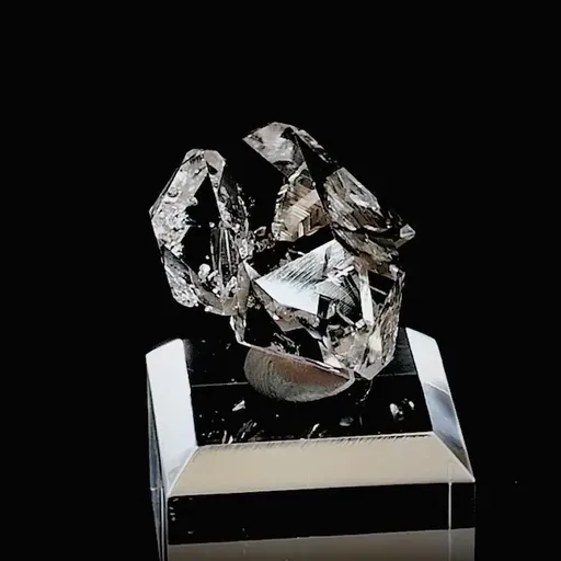 specimen video