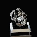 specimen video