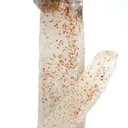 Quartz - image 1