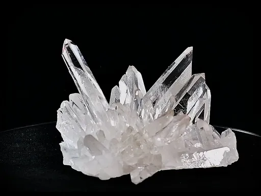 specimen video