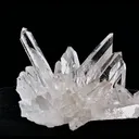 specimen video
