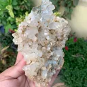 Quartz - image 4