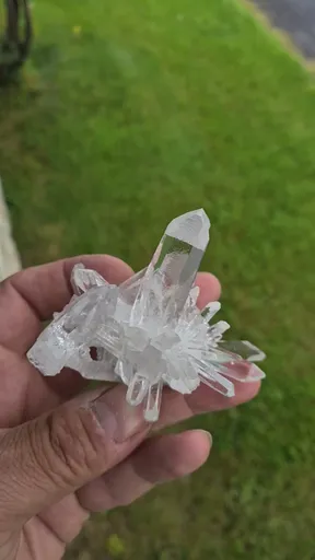 specimen video