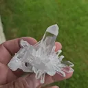specimen video