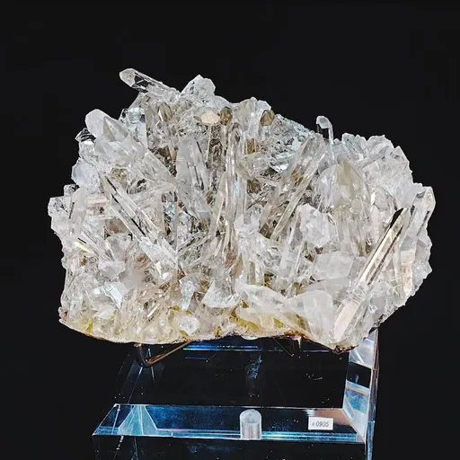 specimen video