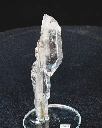 specimen video