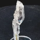 specimen video