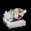 specimen video