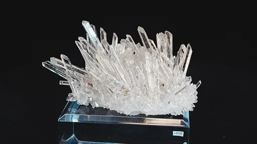specimen video
