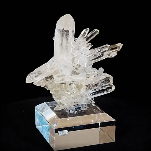 specimen video