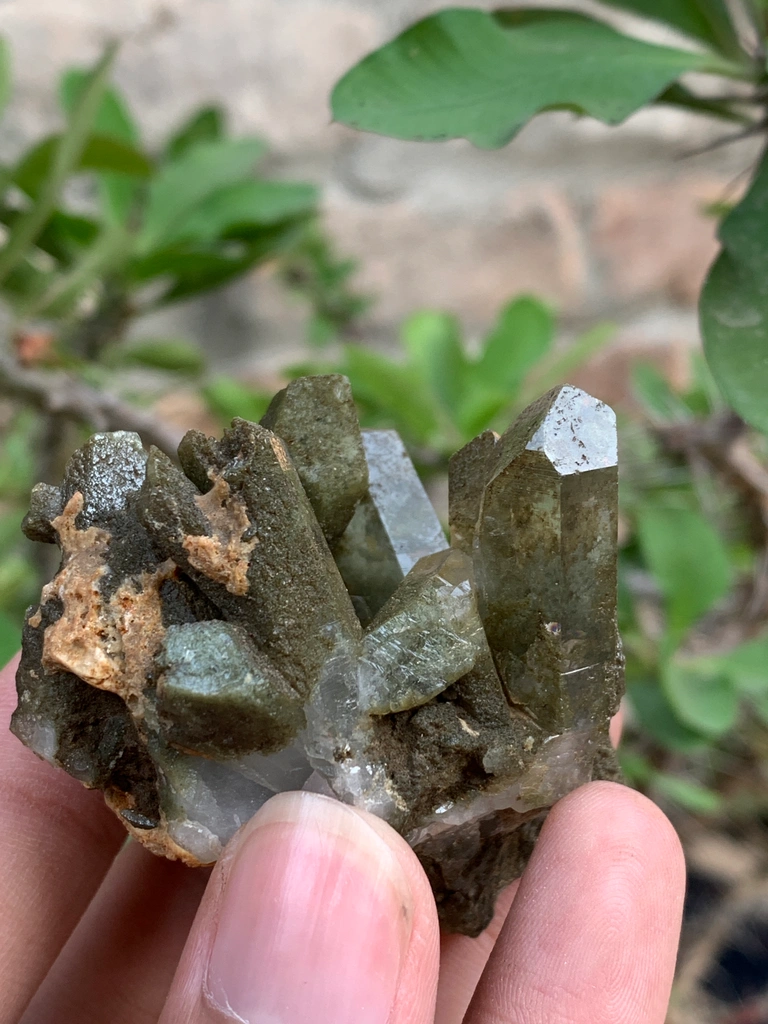 Quartz image