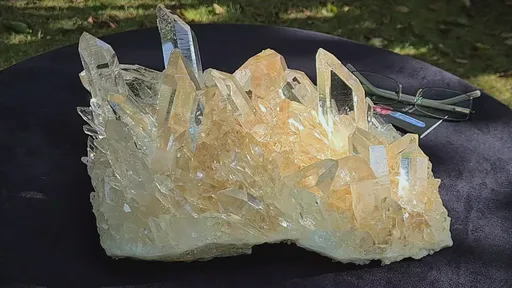 specimen video