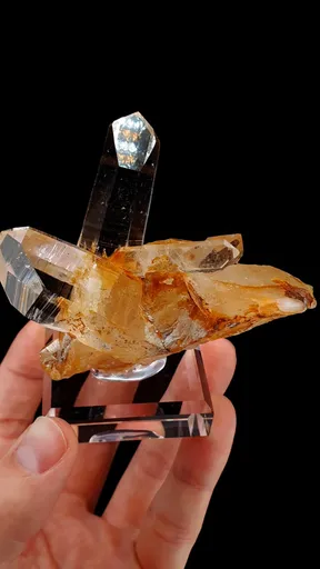 specimen video