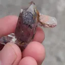 specimen video