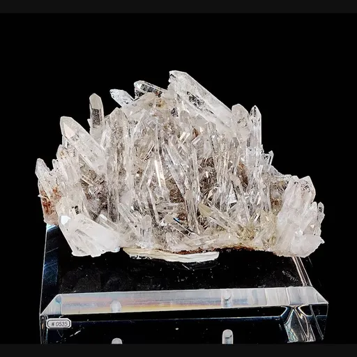 specimen video