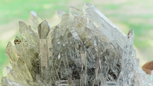 specimen video