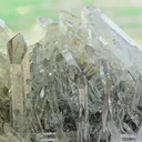 specimen video
