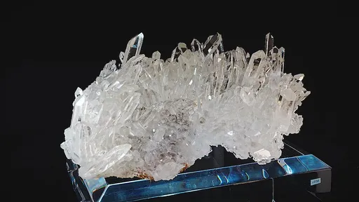 specimen video