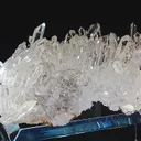 specimen video