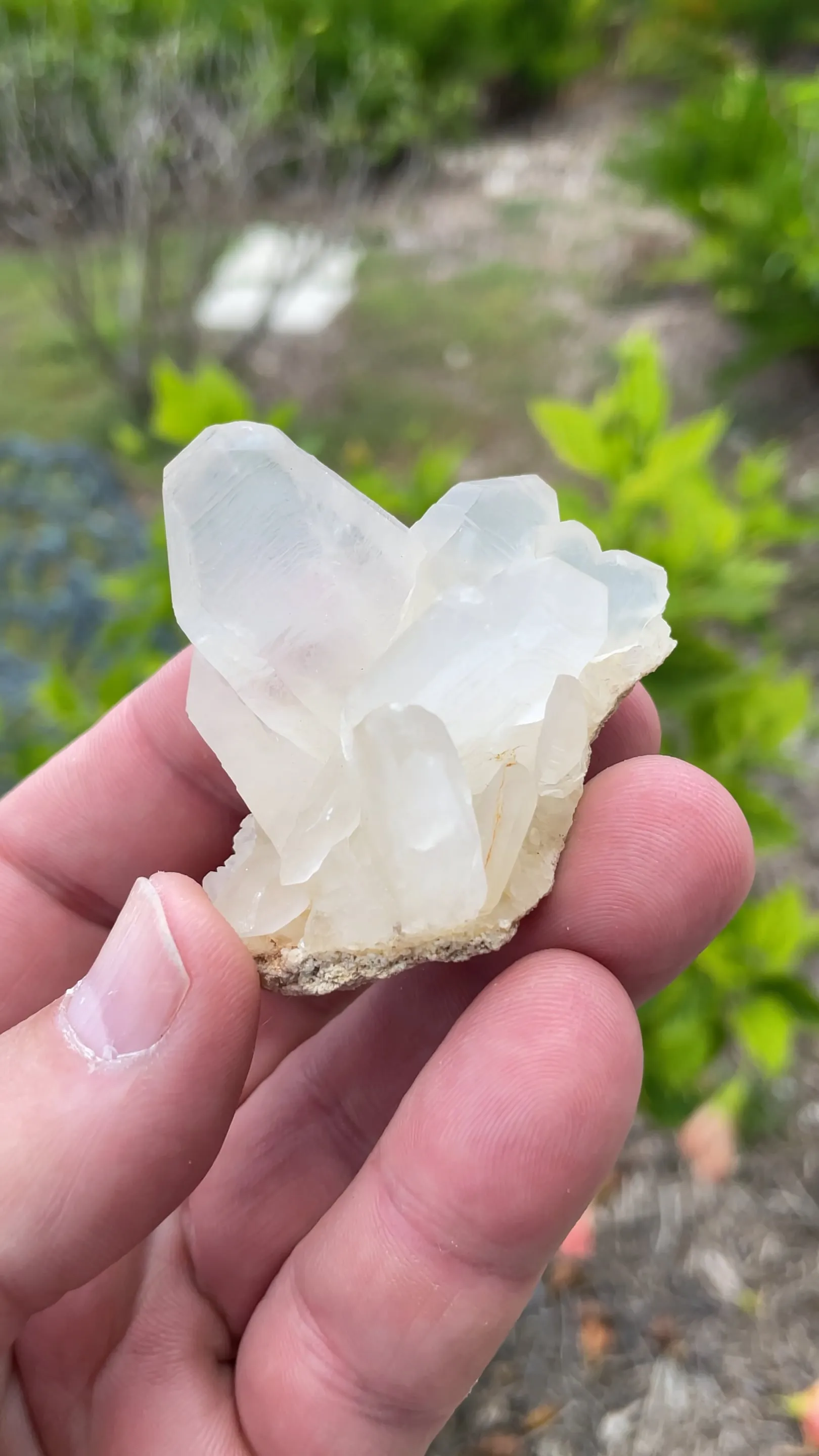 Quartz - image 2