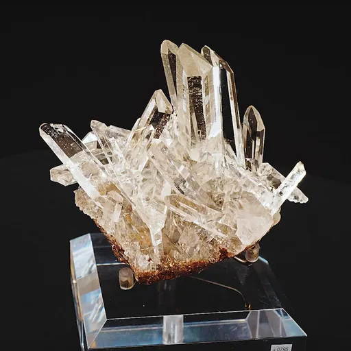 specimen video