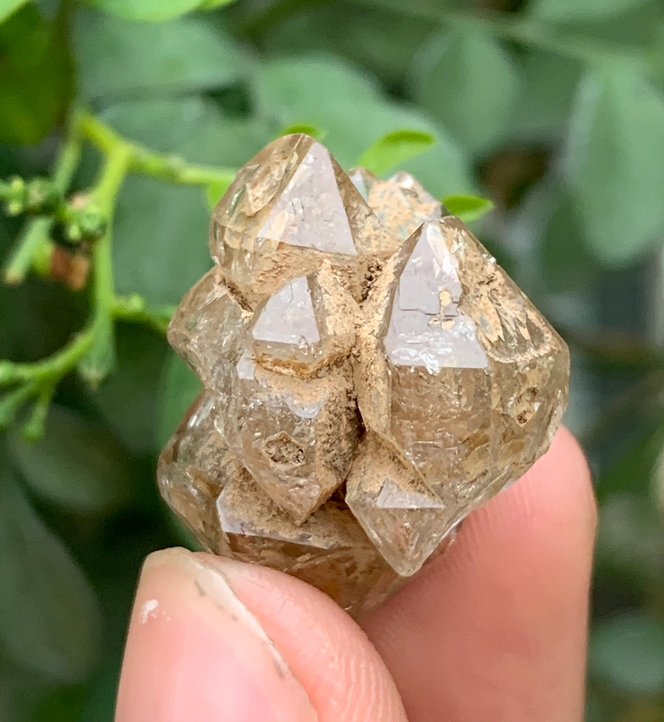 Quartz - image 2