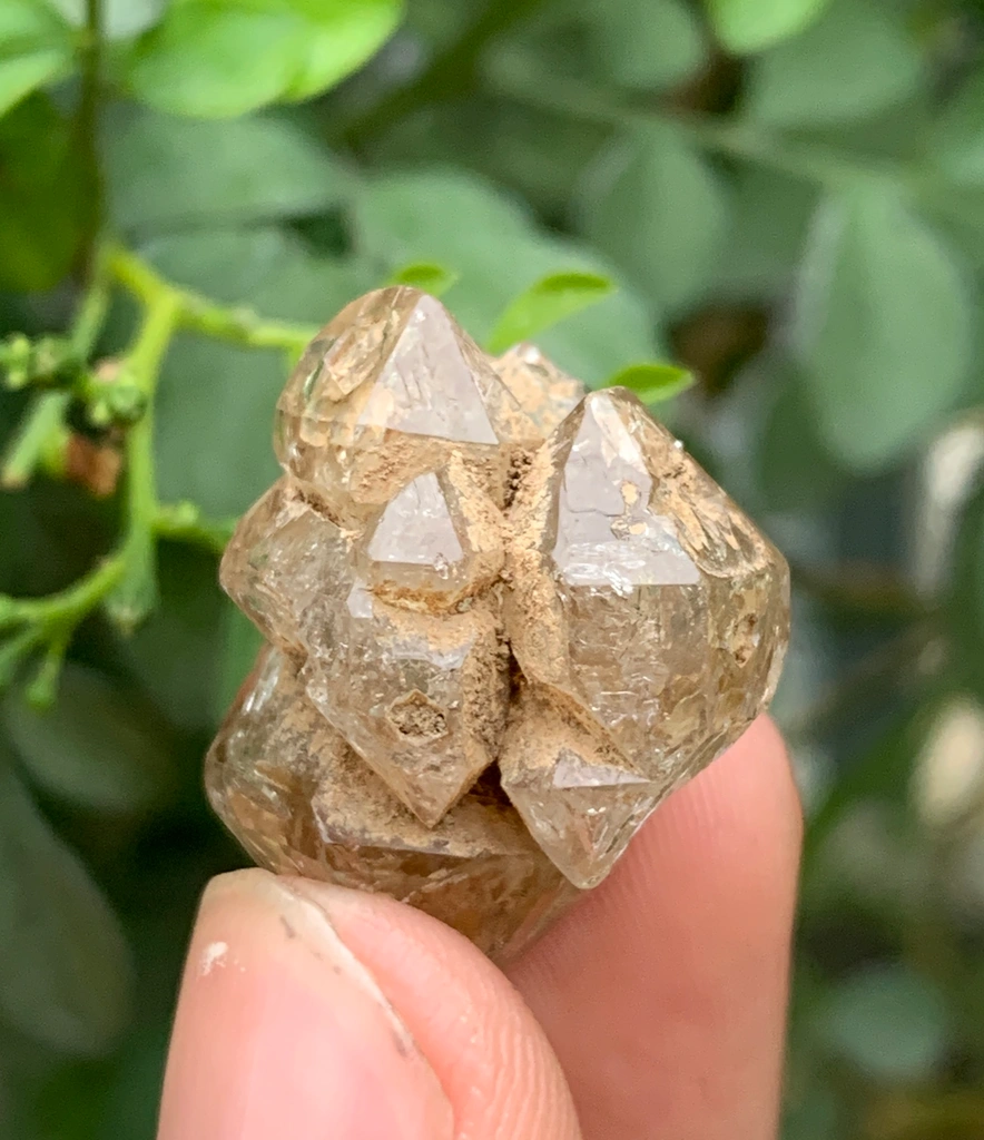 Quartz - image 6