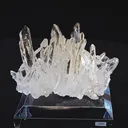 specimen video