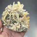 Quartz after Anhydrite - image 2