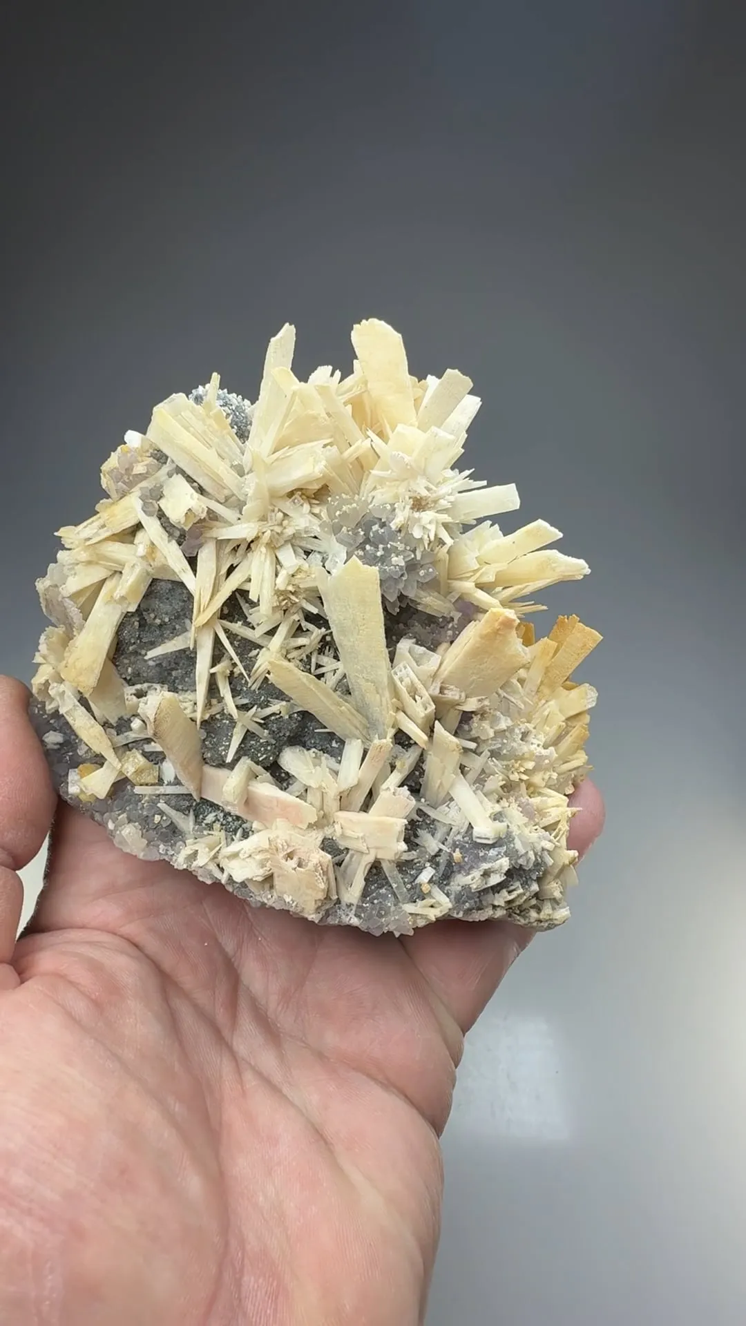 Quartz after Anhydrite - image 2