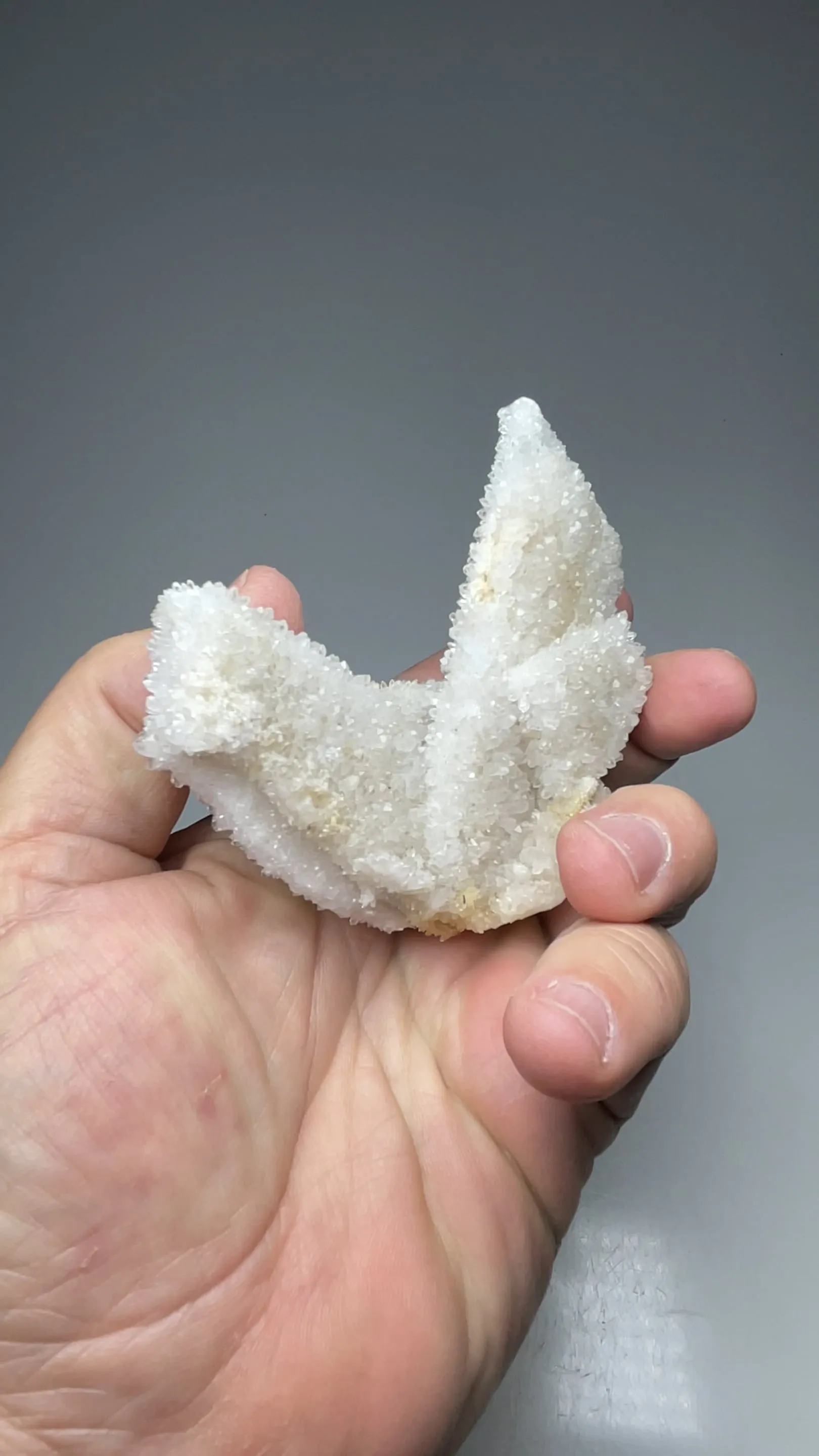 Quartz after Anhydrite - image 2