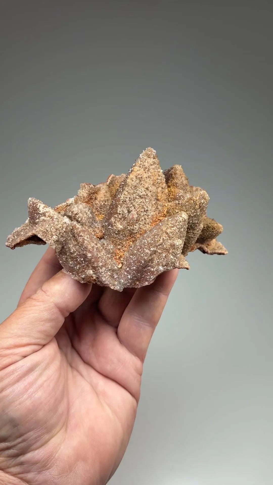 Quartz after Calcite - image 2