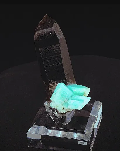 specimen video