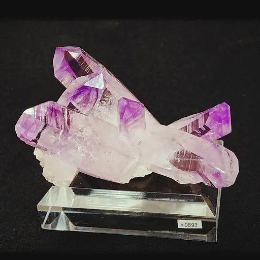 specimen video