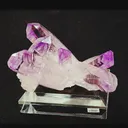 specimen video