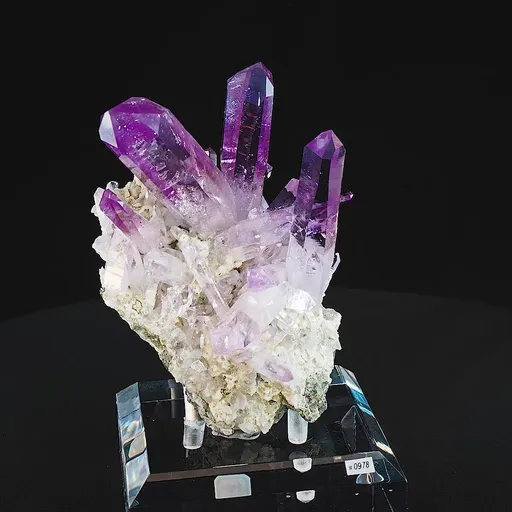 specimen video