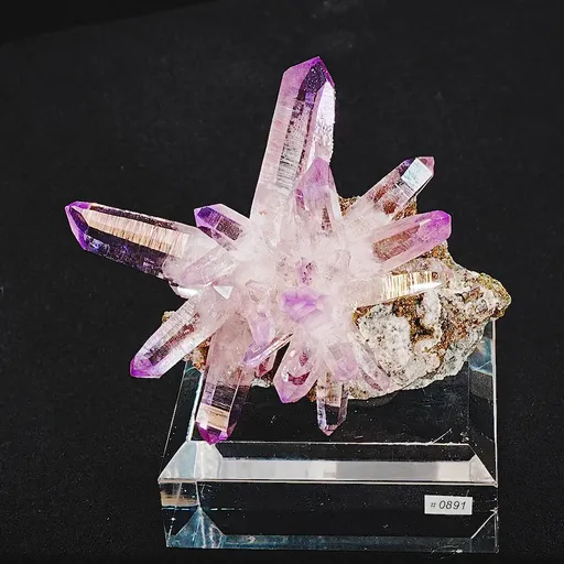 specimen video
