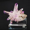 specimen video