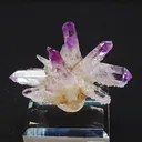 specimen video