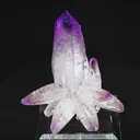 specimen video