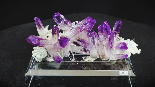 specimen video