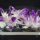 specimen video