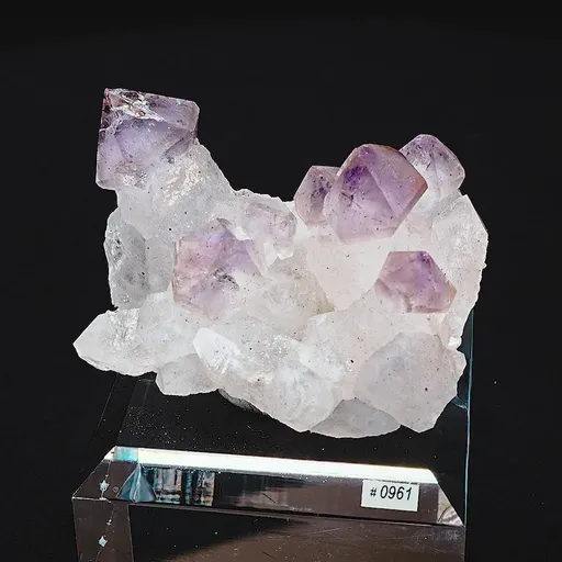 specimen video