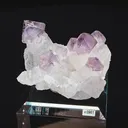 specimen video