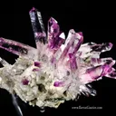 Quartz Améthyste - image 1